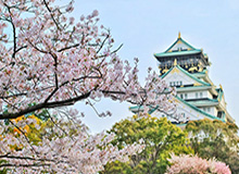 MK体育官方网站-【四国赛】张玉宁破门防线连送礼 国奥1比5澳大利亚